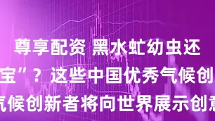 尊享配资 黑水虻幼虫还能“变废为宝”？这些中国优秀气候创新者将向世界展示创意和方案