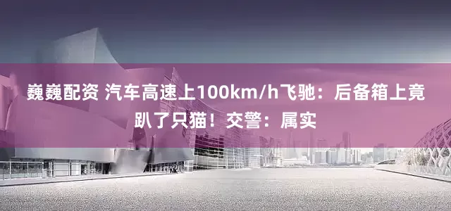 巍巍配资 汽车高速上100km/h飞驰：后备箱上竟趴了只猫！交警：属实